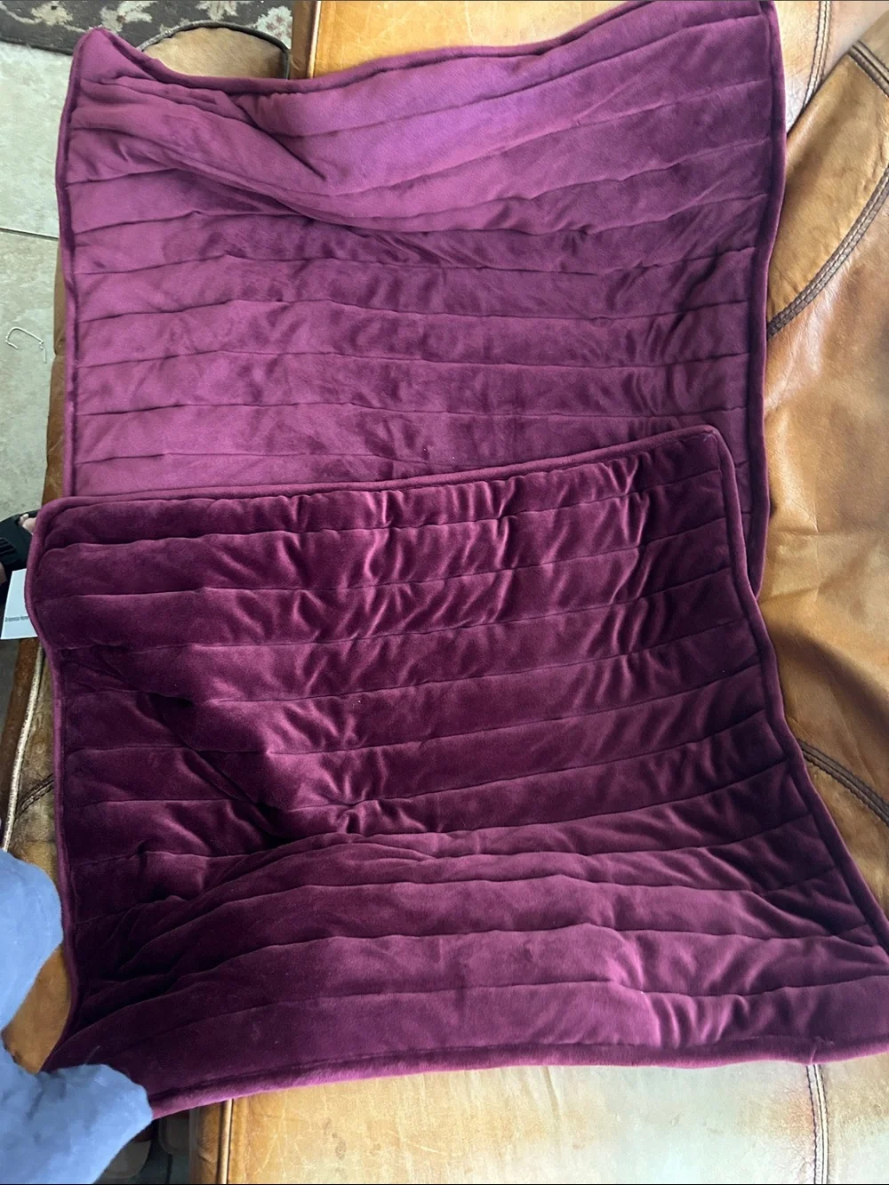 Two Plush Velvet Decorative Pillow Cover in Deep Plum
